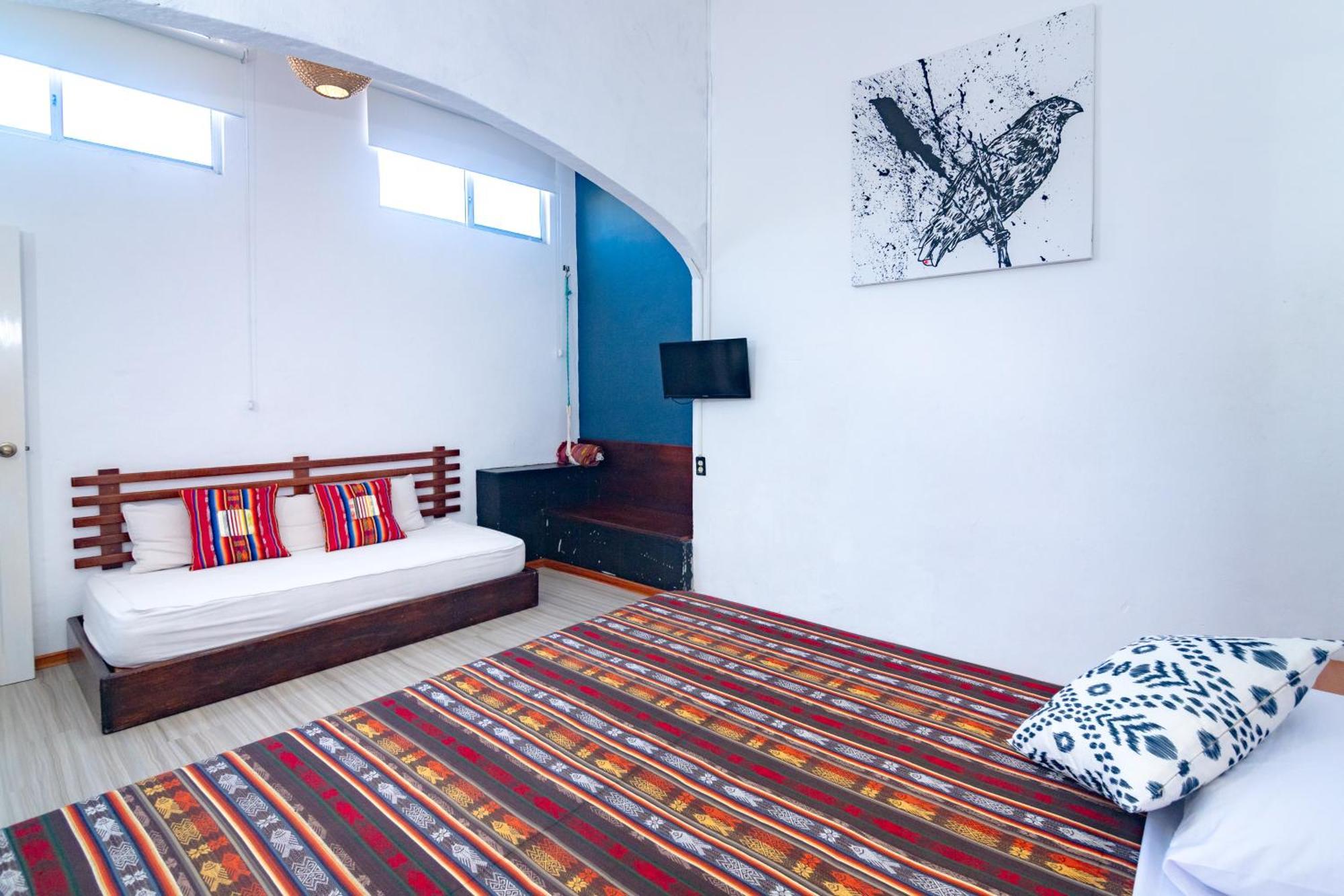 La K-Leta Boutique Guesthouse Puerto Ayora  Eksteriør bilde