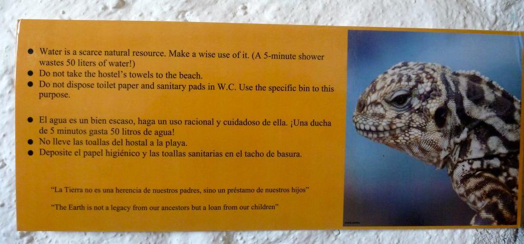 La K-Leta Boutique Guesthouse Puerto Ayora  Eksteriør bilde